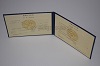 Стоимость диплома техникума УзбекАССР 1975-1991 г. в Новокузнецке (Кемеровская Область)